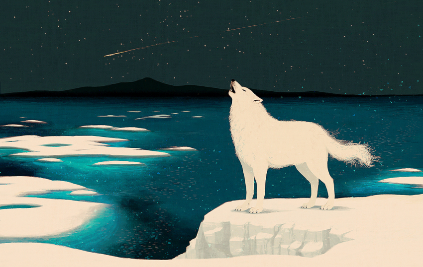 howling iceberg md5_mismatch muted_color night night_sky no_humans original resolution_mismatch s_(pixiv1228080) shooting_star sky source_smaller star_(sky) wolf