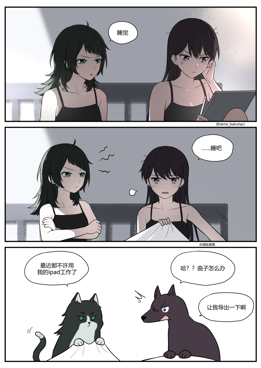 2girls absurdres ahoge animal_ears animalization bang_dream! bang_dream!_it&#039;s_mygo!!!!! black_camisole black_hair blue_eyes camisole cat_ears chinese_commentary chinese_text closed_mouth commentary_request dog highres holding holding_tablet_pc long_hair multiple_girls pout purple_eyes rankaku shiina_taki stylus tablet_pc translation_request yahata_umiri