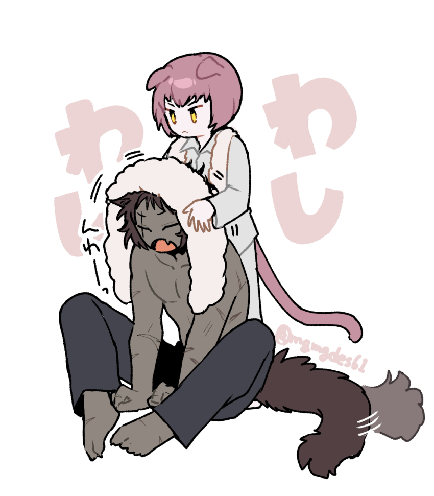 2boys :&lt; animal_ears barefoot basilio_(metaphor:_refantazio) black_pants brothers brown_hair butterfly_sitting closed_eyes closed_mouth collarbone collared_shirt commentary_request curled_fingers drying drying_another&#039;s_hair drying_hair fang fidelio_(metaphor:_refantazio) folded_ear highres jitome long_sleeves male_focus metaphor:_refantazio mgmgdes61 multiple_boys multiple_scars open_mouth pants pectorals pink_hair scar scar_on_arm shirt siblings simple_background sitting standing tail tail_wagging tongue topless_male towel towel_around_neck towel_on_head twitter_username white_background white_pants white_shirt wing_collar yellow_eyes