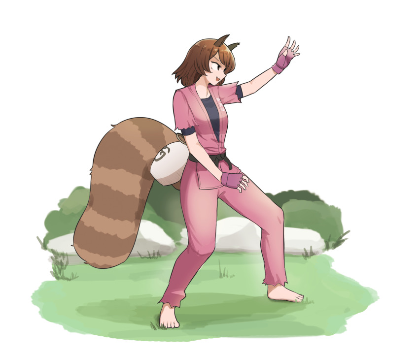 1girl absurdres animal_ears barefoot belt black_belt bottle brown_eyes brown_hair cosplay dougi fighting_stance fingerless_gloves futatsuiwa_mamizou gloves grass hibiki_dan hibiki_dan_(cosplay) highres mata_(matasoup) open_mouth raccoon_ears raccoon_tail sake_bottle short_hair solo street_fighter tail tanuki torn_clothes torn_sleeves touhou white_background