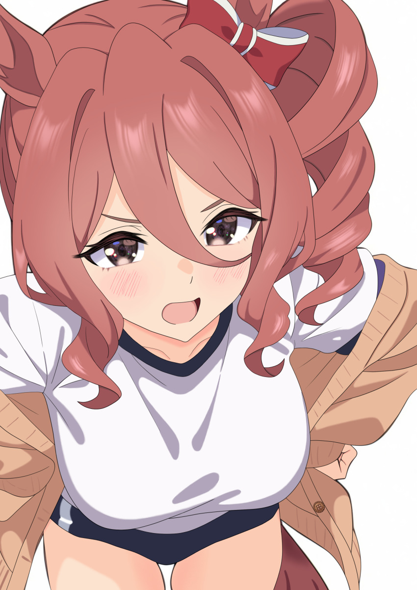 1girl absurdres animal_ears black_eyes blue_buruma blush bow breasts brown_cardigan brown_hair buruma cardigan commentary cowboy_shot drill_hair drill_sidelocks frown gym_shirt gym_uniform hair_bow hands_on_own_hips highres horse_ears horse_girl horse_tail large_breasts leaning_forward long_sleeves looking_at_viewer medium_hair myapanpan norn_ace_(umamusume) off_shoulder open_cardigan open_clothes open_mouth shirt short_sleeves side_drill sidelocks solo standing t-shirt tail umamusume umamusume:_cinderella_gray
