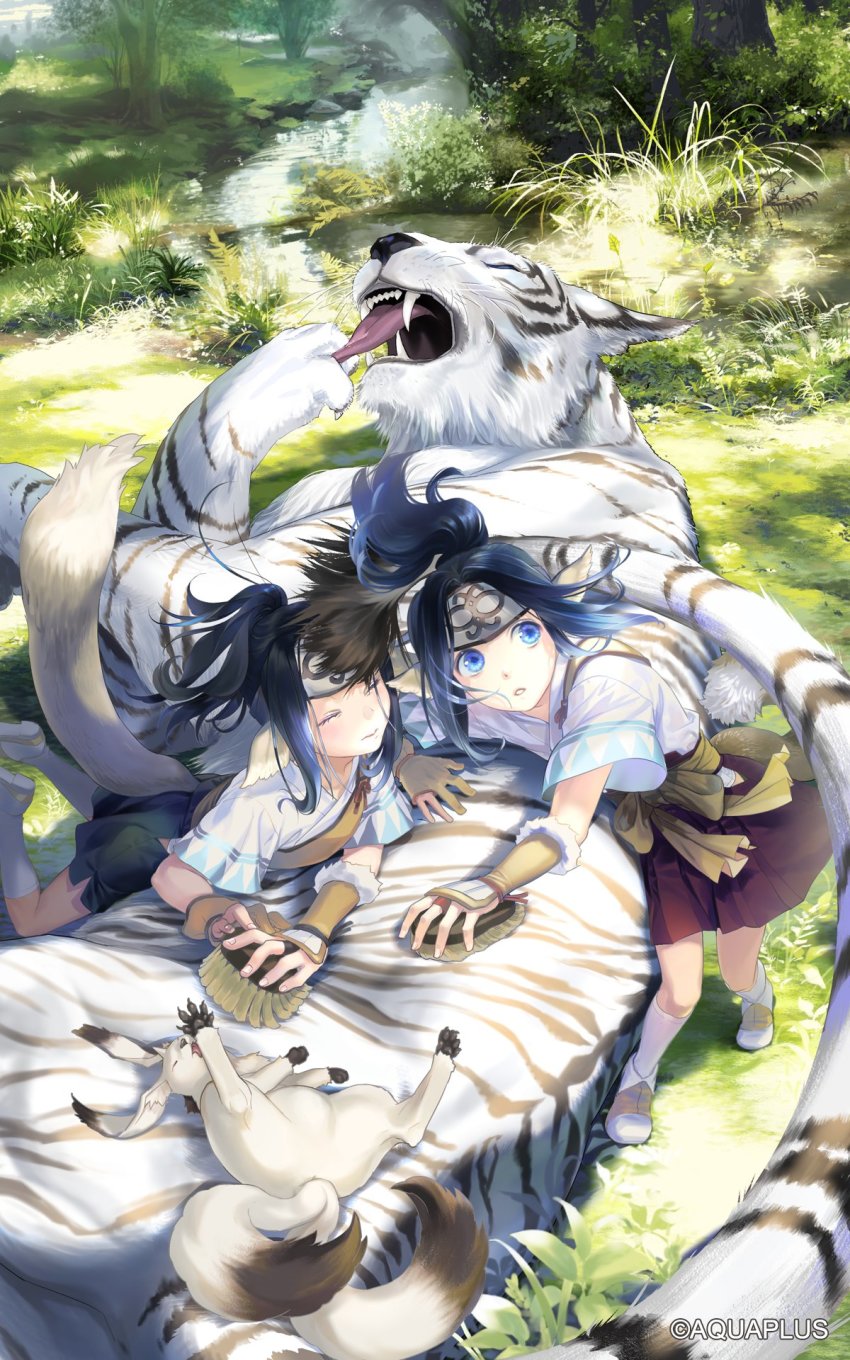2boys ainu_clothes animal animal_ears animal_hands aquaplus black_hair blue_eyes closed_eyes dorry_(utawarerumono) fang fangs fangs_out from_side full_body funato_akari fur gachatara gauntlets gradient_eyes gradient_hair grass guraa headband highres hip_vent long_hair looking_up mukkuru multicolored_eyes multicolored_hair multiple_boys nose official_art open_mouth outdoors ponytail river short_sleeves sidelocks skirt standing tail teeth tiger tiger_ears tiger_tail tongue tree utawarerumono utawarerumono:_lost_flag water wide_sleeves