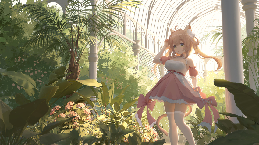 1girl :o ahoge animal_ear_fluff animal_ears azur_lane bell blonde_hair bow breasts cat_ears cat_girl cat_tail day detached_sleeves dress dress_bow feet_out_of_frame frilled_dress frilled_sleeves frills hair_between_eyes hand_up highres holding indoors jingle_bell large_breasts long_hair michishio_(azur_lane) michishio_(fluttering_fanfare)_(azur_lane) palm_tree pink_bow pink_dress plant scenery short_sleeves sidelocks skirt skirt_hold solo tail thighhighs tree twintails white_dress white_thighhighs window yellow_eyes yuma_(lyq_yume) zettai_ryouiki