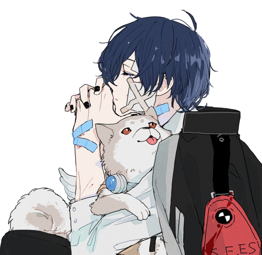 1boy animal bandaid bandaid_on_face bandaid_on_hand black_jacket black_nails blue_hair closed_eyes closed_mouth collared_shirt commentary_request eyelashes fake_wings from_side gauze gauze_on_cheek headphones headphones_around_neck holding holding_animal injury jacket jacket_on_shoulders koromaru_(persona) looking_up male_focus meimei_hituzi nail_polish own_hands_together parted_bangs persona persona_3 profile red_eyes s.e.e.s shirt short_hair simple_background sitting tongue tongue_out white_background white_shirt wings yuuki_makoto_(persona_3)