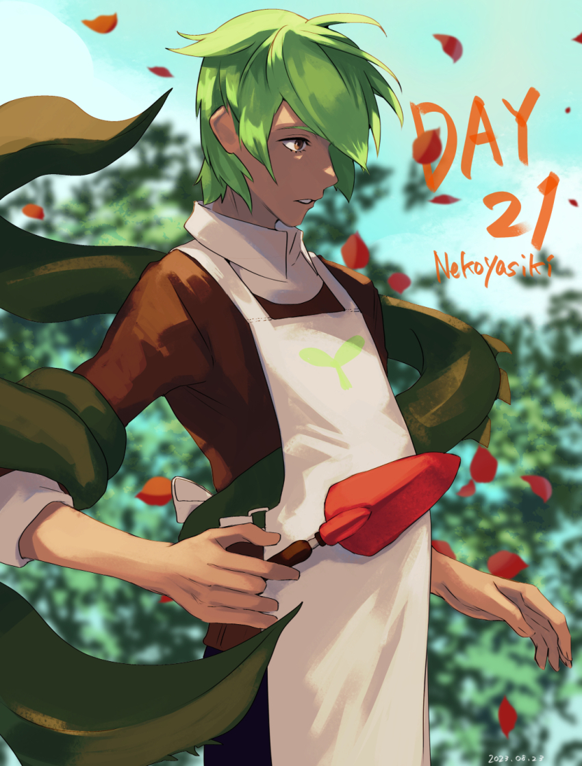1boy apron brown_eyes brown_shirt buttons collared_shirt commentary cookie_run day dress_shirt flower food green_hair herb_cookie highres holding humanization leaf leaf_print male_focus nekoyasiki33 parted_lips personification shirt short_hair smile solo teeth upper_body white_apron