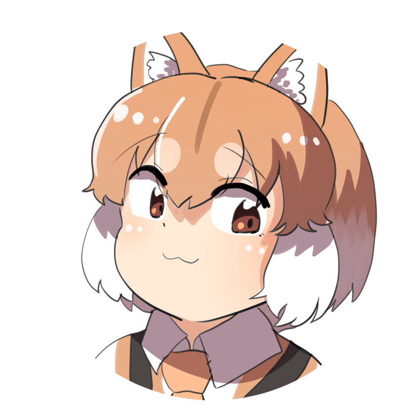 1girl animal_ears dog_(shiba_inu)_(kemono_friends) dog_ears dog_girl doge extra_ears highres kemono_friends looking_at_viewer mcgunngu parody simple_background solo twitter