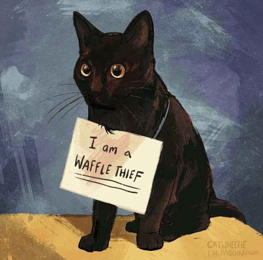 animal animal_focus artist_name black_cat cat catwheezie dated english_text full_body indoors no_humans original pet_shaming sign signature sitting tail whiskers yellow_eyes