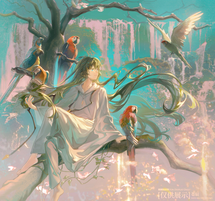1other androgynous arabian_clothes bird cangchen enkidu_(fate) fate/grand_order fate_(series) green_eyes green_hair highres long_hair long_sleeves other_focus parrot robe scenery sitting solo toga tree very_long_hair white_robe