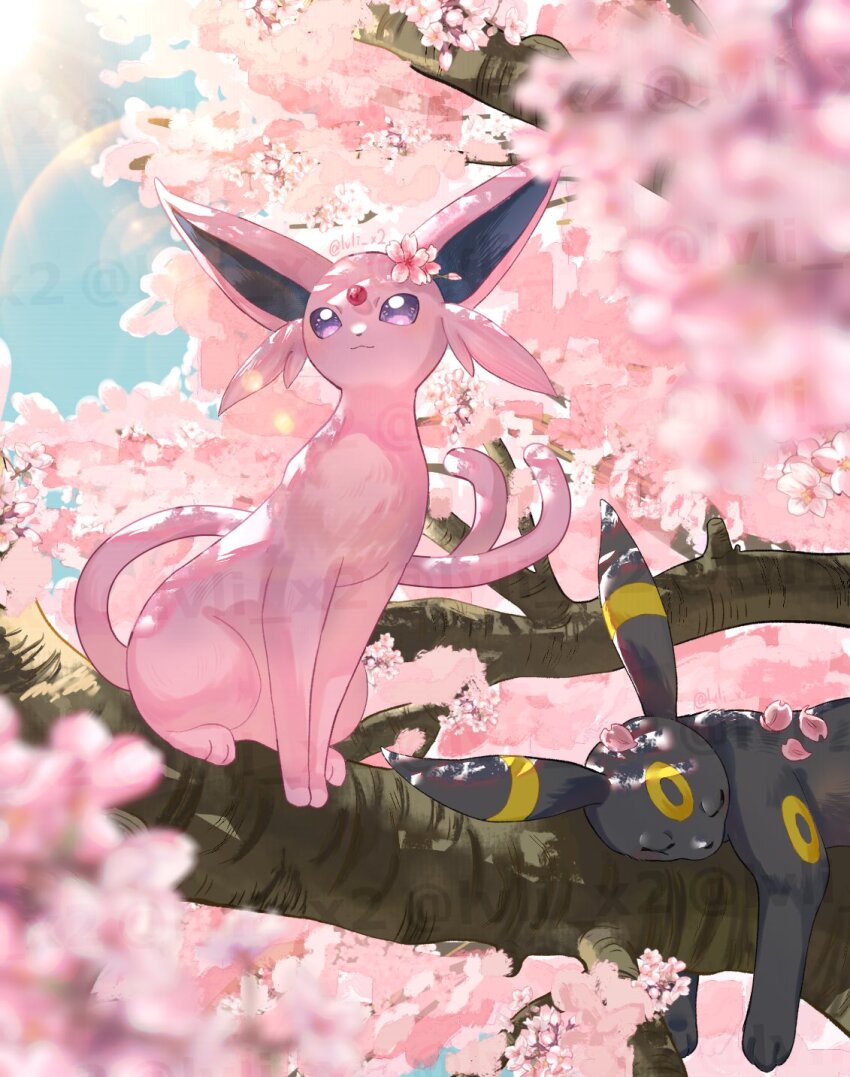 animal_focus black_fur cherry_blossoms espeon forehead_jewel forked_tail game_freak gen_2_pokemon highres lvli_x2 nintendo no_humans pokemon pokemon_(creature) purple_eyes sleeping tail tree umbreon