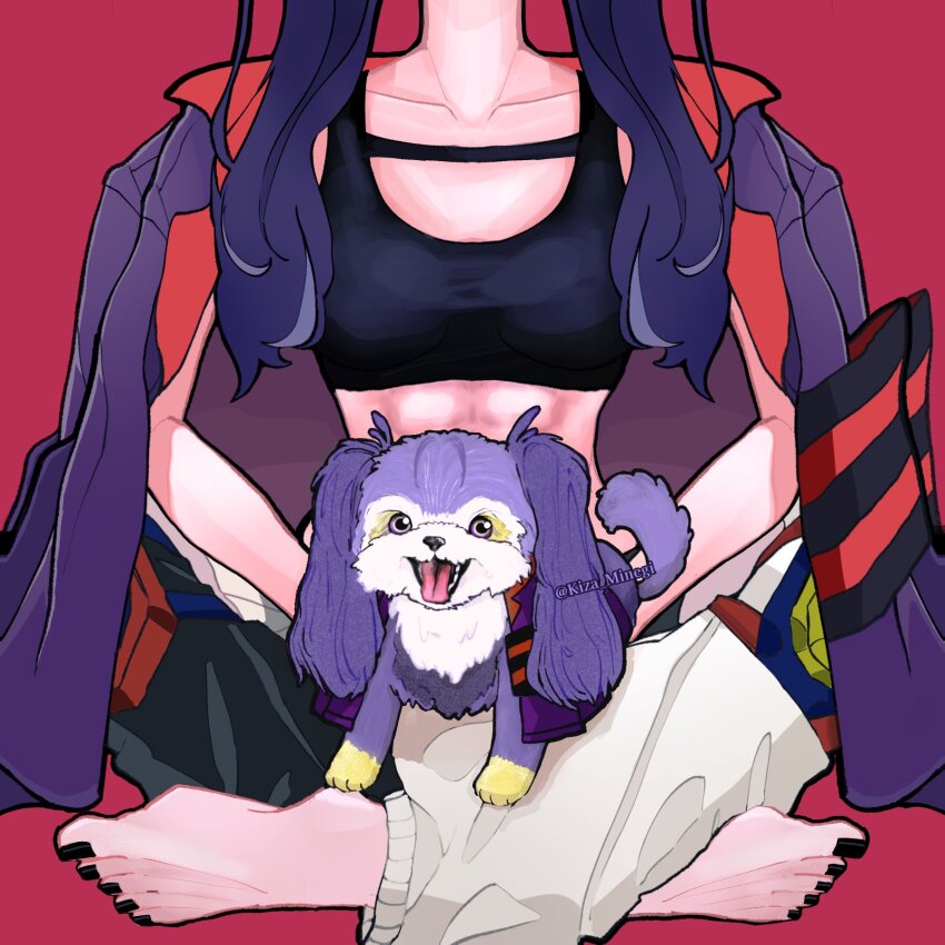 1girl abs ado_(utaite) animal_focus barefoot black_nails black_tank_top blue_hair brown_pants cloud_nine_inc collarbone commentary_request dog highres jacket jacket_on_shoulders kiza_minegi long_hair midriff nail_polish odo_(song) pants pink_background purple_jacket simple_background solo tank_top toenail_polish toenails twintails twitter_username