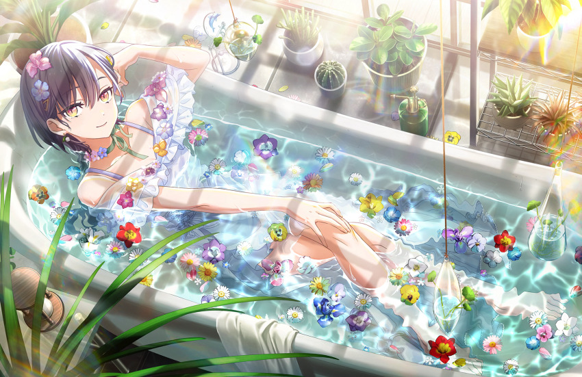 1girl arm_up bare_shoulders barefoot blue_flower bottle breasts cactus choker cleavage closed_mouth crossed_legs daisy_(flower) earrings flower flower_choker flower_earrings flower_request frilled_one-piece_swimsuit frills full_body game_cg grey_hair hair_between_eyes hair_flower hair_ornament hand_on_own_knee her-bath-rium highres hourglass in_bathtub indoors iris_(flower) jewelry katsuragi_izumi knees_up link!_like!_love_live! long_hair looking_at_viewer love_live! nemophila_(flower) non-web_source off-shoulder_one-piece_swimsuit off_shoulder official_alternate_costume official_art one-piece_swimsuit orange_eyes orange_flower pansy partially_submerged pink_flower plant potted_plant purple_flower red_flower slit_pupils small_breasts smile solo spray_bottle swimsuit triangle_hair_ornament virtual_youtuber water white_flower white_one-piece_swimsuit wolf_cut yellow_flower ||/