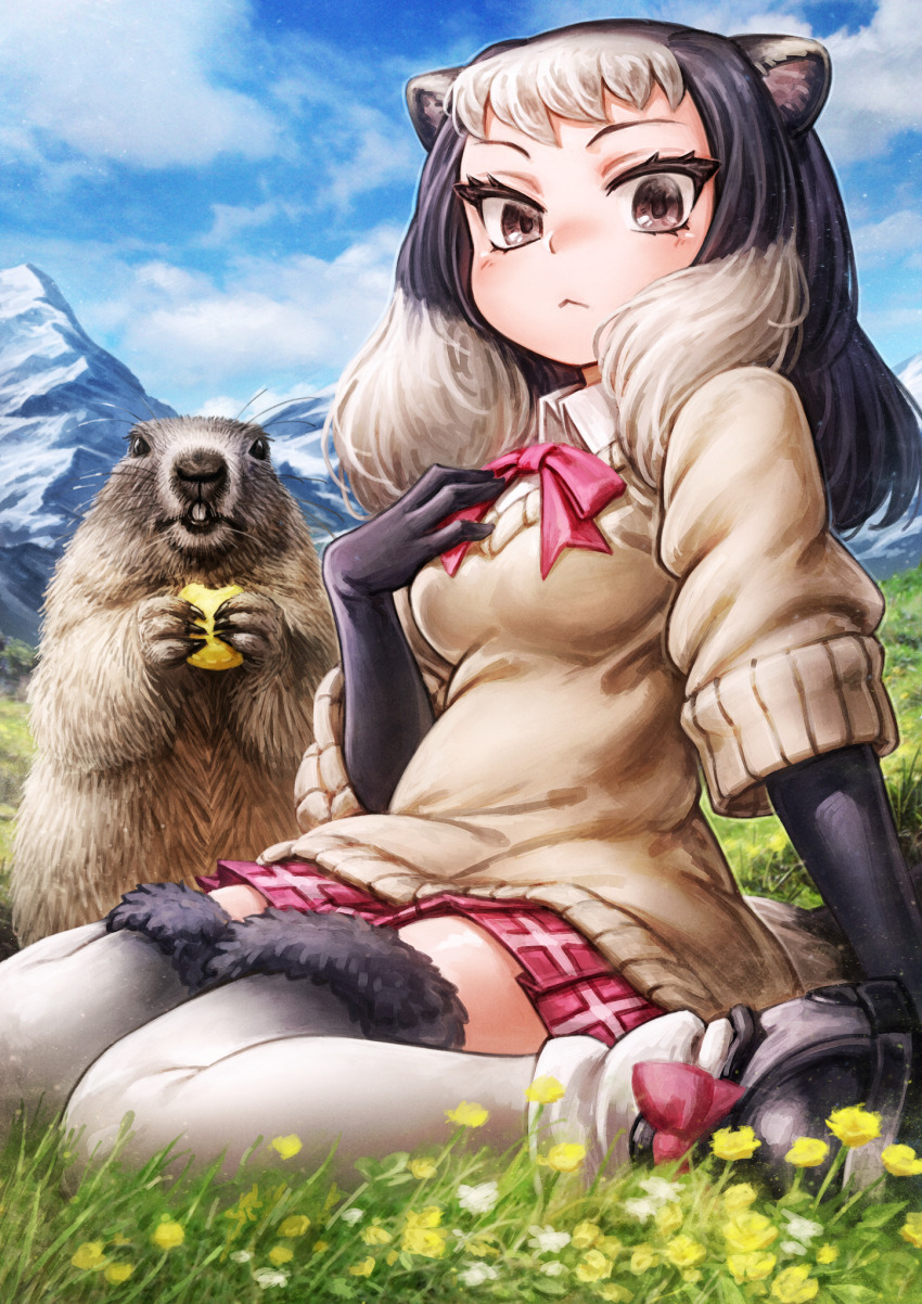 1girl :&lt; alpine_marmot_(kemono_friends) animal_ears black_gloves black_hair bow bowtie brown_eyes collared_shirt creature_and_personification day elbow_gloves fur_trim gloves grass grey_hair grey_thighhighs highres kemono_friends looking_at_viewer mountain multicolored_hair outdoors oyu_udon personification plaid_clothes plaid_skirt pleated_skirt red_bow red_bowtie red_skirt shirt short_hair short_sleeves sitting skirt sky solo squirrel_ears squirrel_girl squirrel_tail tail thighhighs white_shirt zettai_ryouiki