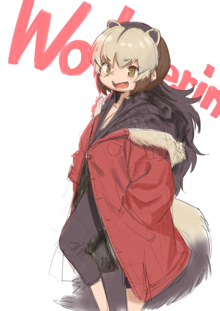 1girl absurdres alternate_costume animal_ears badger_ears badger_tail black_hair brown_eyes brown_hair character_name coat extra_ears feet_out_of_frame grey_hair highres kamidana_(carpe_diem) kemono_friends leggings long_hair long_sleeves looking_at_viewer multicolored_hair open_mouth oversized_clothes scar scar_on_face sidelocks sketch smile solo sweater tail wolverine_(kemono_friends)