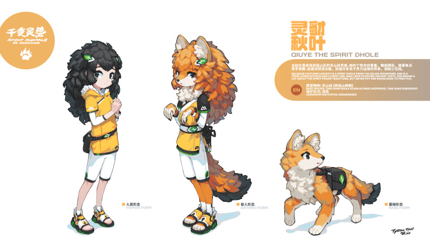 1girl 2023 :o absurdres animal_ears animal_hands backpack bag bike_shorts black_eyes black_hair blonde_hair bracelet chest_tuft chinese_clothes chinese_commentary chinese_knot commentary dhole dog_ears dog_girl dog_tail english_commentary fluffy_hair furry furry_female furry_with_non-furry hair_ornament half-sleeves highres hood hoodie interspecies jewelry krita_(medium) leaf_hair_ornament leaf_ornament long_hair looking_ahead looking_at_viewer looking_back multiple_views nervous original own_hands_together qiuye_the_spirit_dhole_(animal_form) qiuye_the_spirit_dhole_(anthro_form) qiuye_the_spirit_dhole_(human_form) raised_inner_eyebrows reference_sheet sandals shirt shorts shy signature simple_background smartwatch socks spirit_animals_in_disguise sports_sandals standing tail tetrapod three_quarter_view tight_clothes tight_shirt toeless_legwear tsurime tyson_tan waist_bag watch white_shorts white_socks wristband wristwatch yellow_fur yellow_hoodie yellow_shirt