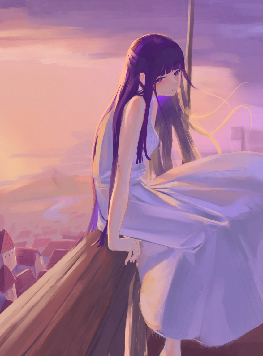 1girl absurdres closed_mouth dress feet_out_of_frame fern_(sousou_no_frieren) from_side highres jinj0121 long_hair looking_at_viewer outdoors purple_eyes purple_hair sitting sleeveless sleeveless_dress solo sousou_no_frieren sunset very_long_hair white_dress