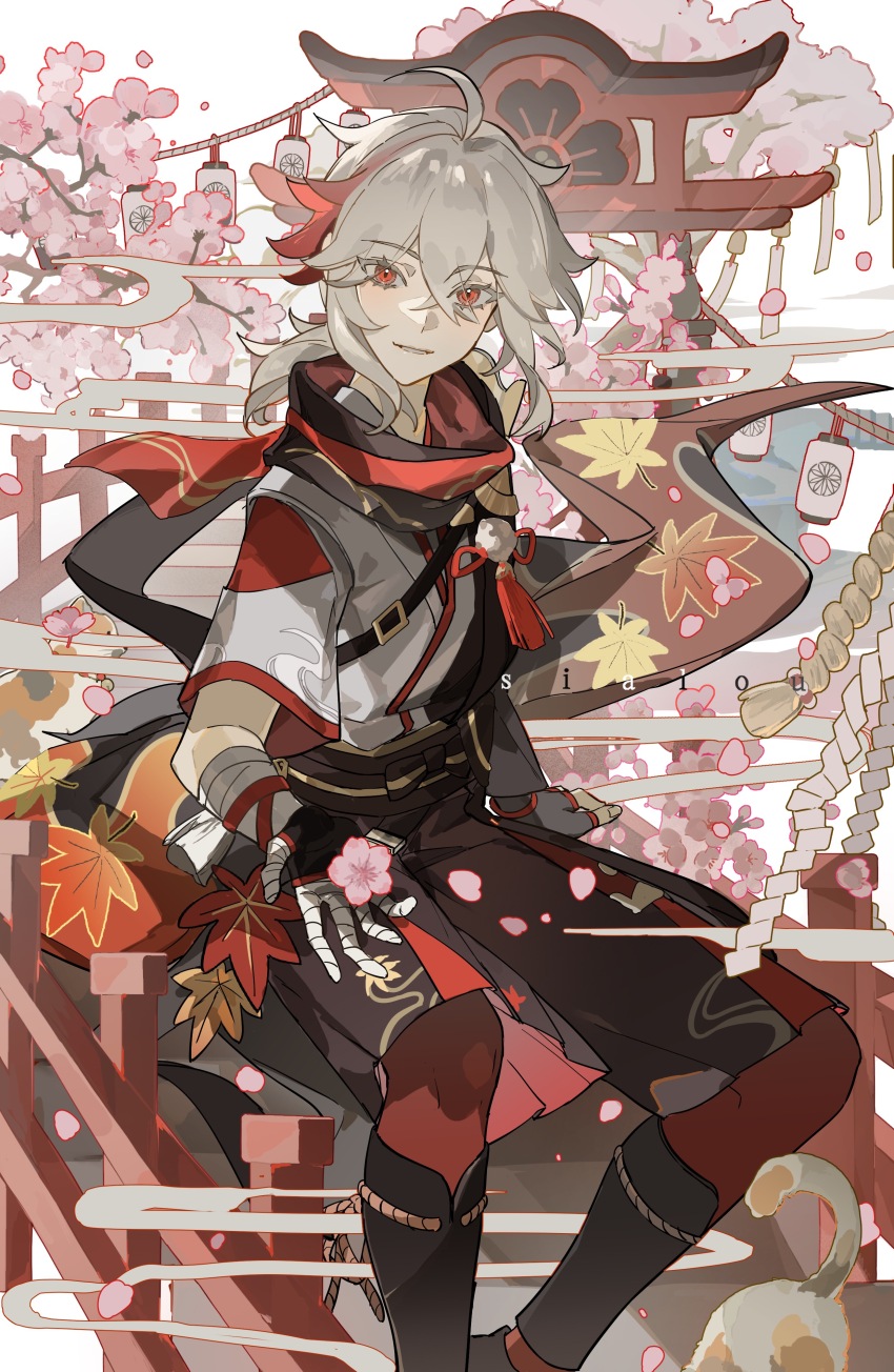 1boy absurdres ahoge artist_name asymmetrical_sleeves bandaged_hand bandages bishounen black_gloves black_kimono black_scarf black_shorts branch bridge cat cherry_blossoms commentary crossed_bangs feet_out_of_frame fingerless_gloves genshin_impact gloves grey_hair hair_between_eyes hakama hakama_shorts highres japanese_clothes kaedehara_kazuha kimono lantern leaf_print long_sleeves looking_at_viewer low_ponytail male_focus maple_leaf_print medium_hair multicolored_hair multicolored_kimono pantyhose paper_lantern parted_lips pink_petals ponytail red_eyes red_hair red_pantyhose red_scarf rope scarf shide shimenawa short_sleeves shorts shrine sialou sitting smile solo streaked_hair symbol-only_commentary tassel torii tree uneven_sleeves white_kimono