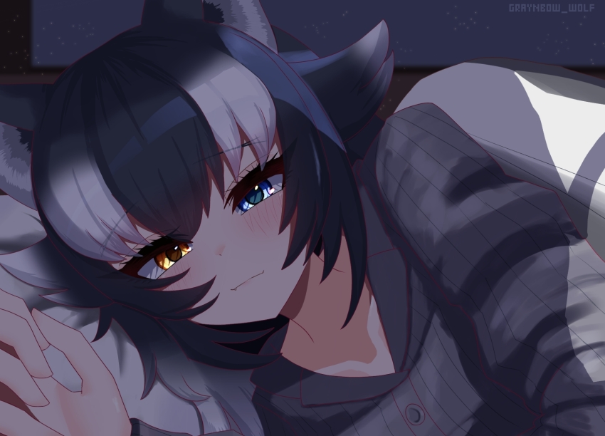 1girl animal_ears black_hair blue_eyes blush grey_wolf_(kemono_friends) heterochromia highres kemono_friends long_hair long_sleeves looking_at_viewer multicolored_hair nijiiro_(graynbow_wolf) pov smile solo two-tone_hair under_covers white_hair wolf_ears wolf_girl yellow_eyes