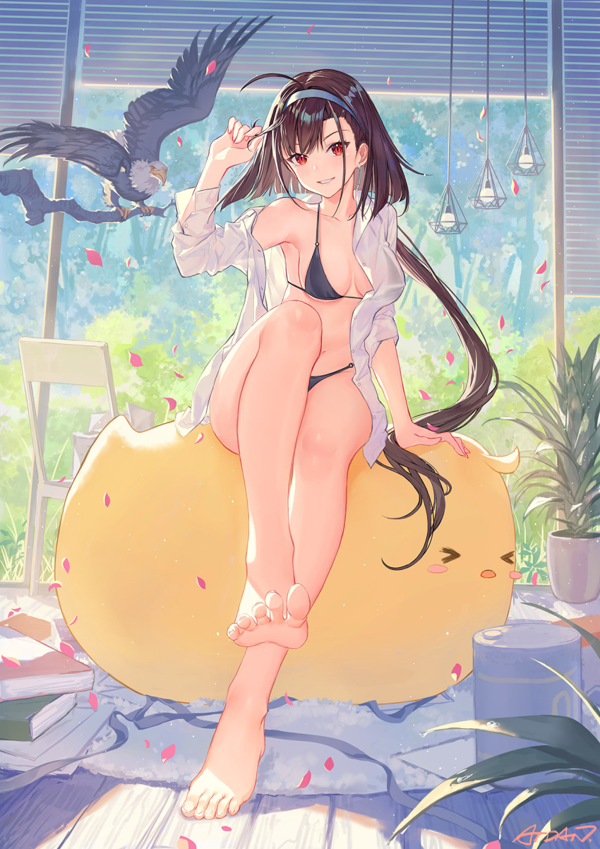 &gt;_&lt; 1girl ahoge animal arm_support arm_up atdan azur_lane bad_perspective barefoot bikini bird black_bikini blue_hairband blush book branch breasts brown_hair chair chick cleavage closed_eyes collarbone commentary day dress_shirt eagle earrings english_commentary feet female_focus full_body grin hair_ornament hairband highres independence_(azur_lane) indoors jewelry large_breasts legs long_hair long_sleeves looking_at_viewer low_ponytail medium_breasts navel o-ring o-ring_bikini o-ring_top open_clothes open_shirt parted_lips petals ponytail red_eyes shirt signature sitting sitting_on_animal slit_pupils smile solo swimsuit toenails toes very_long_hair white_shirt wooden_floor