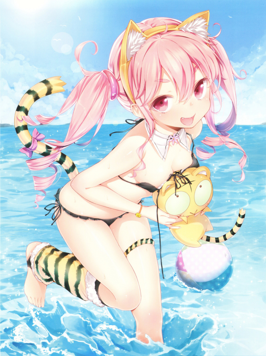 1girl :d absurdres animal_ears animal_print ball bare_shoulders barefoot beachball bikini black_bikini breast_press breasts buriki cat_ears cat_tail cleavage collar colored_eyelashes comic_toranoana day drill_hair fake_animal_ears fang female_focus front-tie_top highres kotora_(toranoana) open_mouth original outdoors pink_eyes pink_hair ribbon side-tie_bikini_bottom small_breasts smile solo stuffed_animal stuffed_toy swimsuit tail tail_ornament tail_ribbon teeth thigh_strap tiger_ears tiger_print tiger_tail toranoana twin_drills twintails wading wardrobe_malfunction water