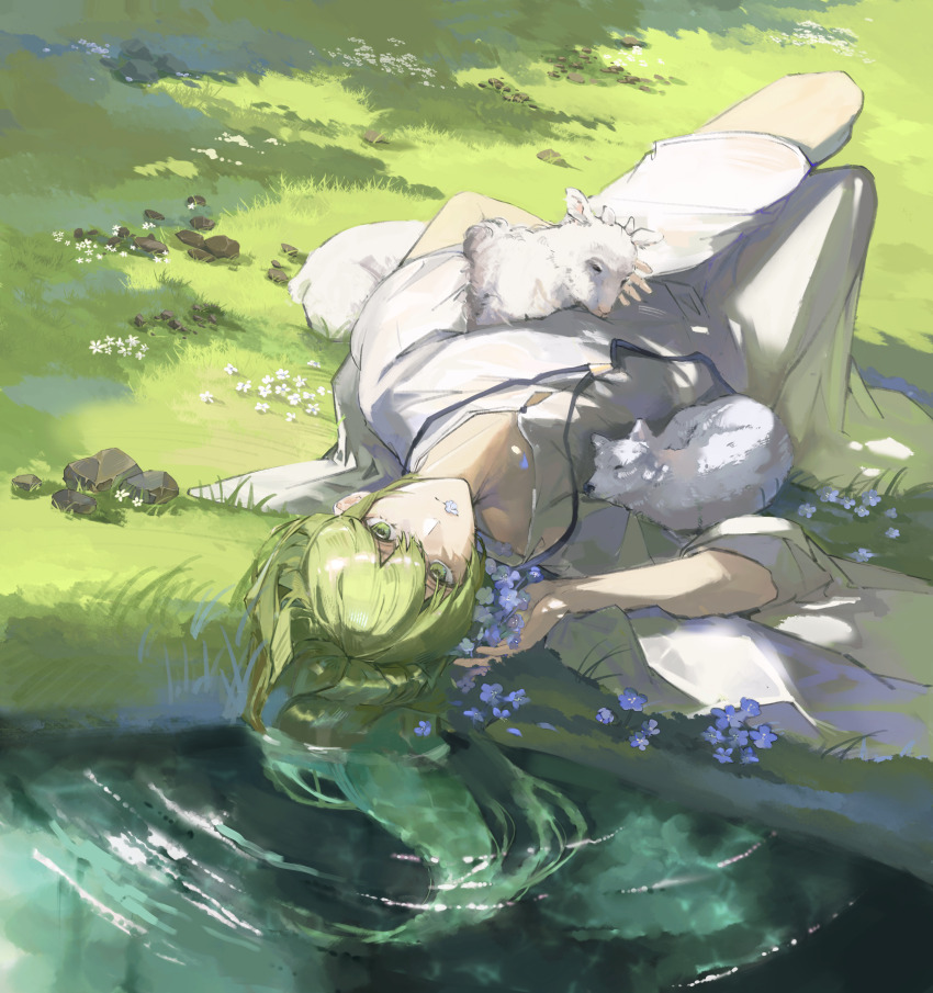 1other absurdres androgynous animal blue_flower closed_mouth double-parted_bangs enkidu_(fate) fate/grand_order fate_(series) feet_out_of_frame flower flower_in_mouth from_above grass green_eyes green_hair hair_between_eyes hair_spread_out highres holding holding_animal knees_up lamb looking_at_viewer lying on_back outdoors robe rock rq000 sheep sidelocks solo sunlight water wet wet_hair white_dog white_flower white_robe white_sleeves