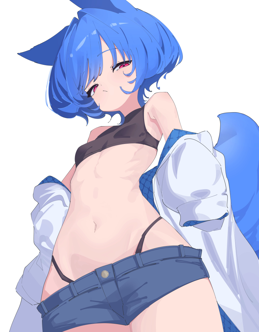 1girl absurdres animal_ears black_panties black_shirt blue_hair blue_shorts breasts closed_mouth commentary cropped_shirt denim denim_shorts fox_ears fox_girl fox_tail from_below hair_between_eyes half-closed_eyes highleg highleg_panties highres jacket looking_at_viewer micro_shorts miya_(myakuro) myakuro navel off_shoulder original panties red_eyes shirt short_hair shorts simple_background sleeveless sleeveless_shirt sleeves_past_fingers sleeves_past_wrists small_breasts solo tail underwear white_background white_jacket