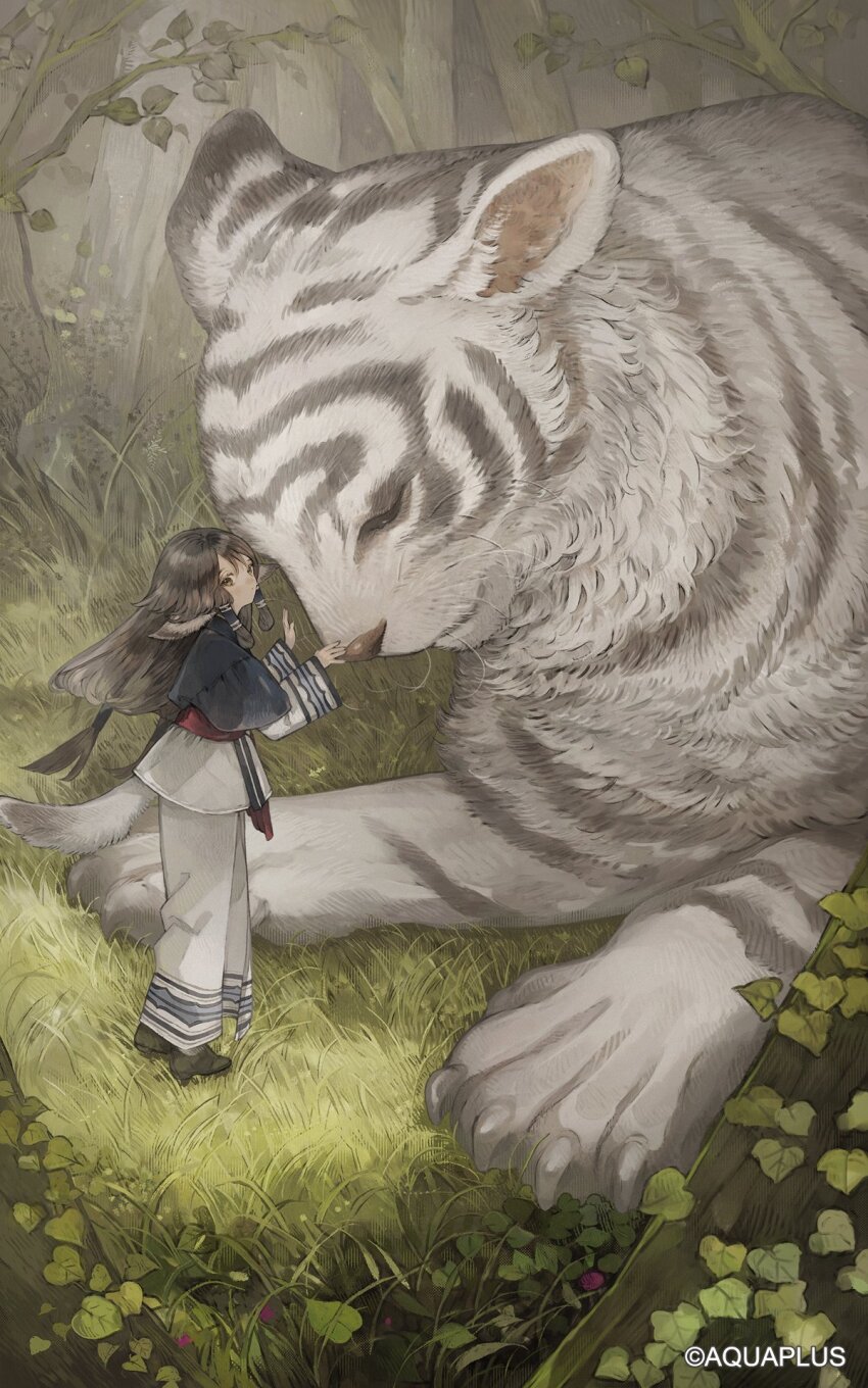 1girl animal animal_ears aruruu brown_eyes brown_hair grass highres long_hair long_sleeves looking_at_viewer low-tied_long_hair mukkuru nature nekosuke_(oxo) official_art outdoors oversized_animal pants plant shirt sidelocks standing tail tiger tree utawarerumono utawarerumono:_lost_flag white_pants white_shirt white_tiger