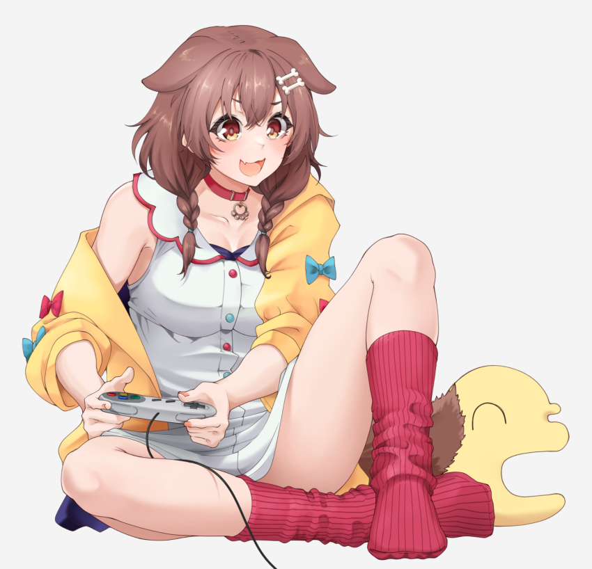 1girl :d animal_ears armpit_crease blue_bow blush bow braid breasts brown_eyes brown_hair cleavage collar collarbone controller convenient_leg dog_ears dog_girl dress fang feet floppy_ears full_body game_controller grey_background hair_between_eyes hair_ornament hair_over_shoulder highres holding holding_controller holding_game_controller hololive inugami_korone inugami_korone_(1st_costume) jacket knee_up legs listener_(inugami_korone) medium_breasts nakiusagi open_clothes open_jacket open_mouth red_bow red_socks ribbed_socks short_dress simple_background single_off_shoulder sitting skin_fang sleeveless sleeveless_dress smile socks super_famicom_gamepad thighs toe_seam twin_braids virtual_youtuber white_dress yellow_jacket