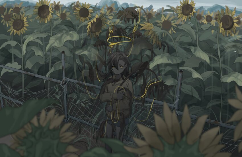 1other black_hair blurry blurry_foreground dark_skin day fence flower hair_between_eyes highres holding holding_flower hood hood_down hoodie long_hair looking_at_viewer noose original outdoors plant pointy_ears short_eyebrows short_shorts shorts sunflower tensen_(dotted_line) wilted_flower yellow_eyes
