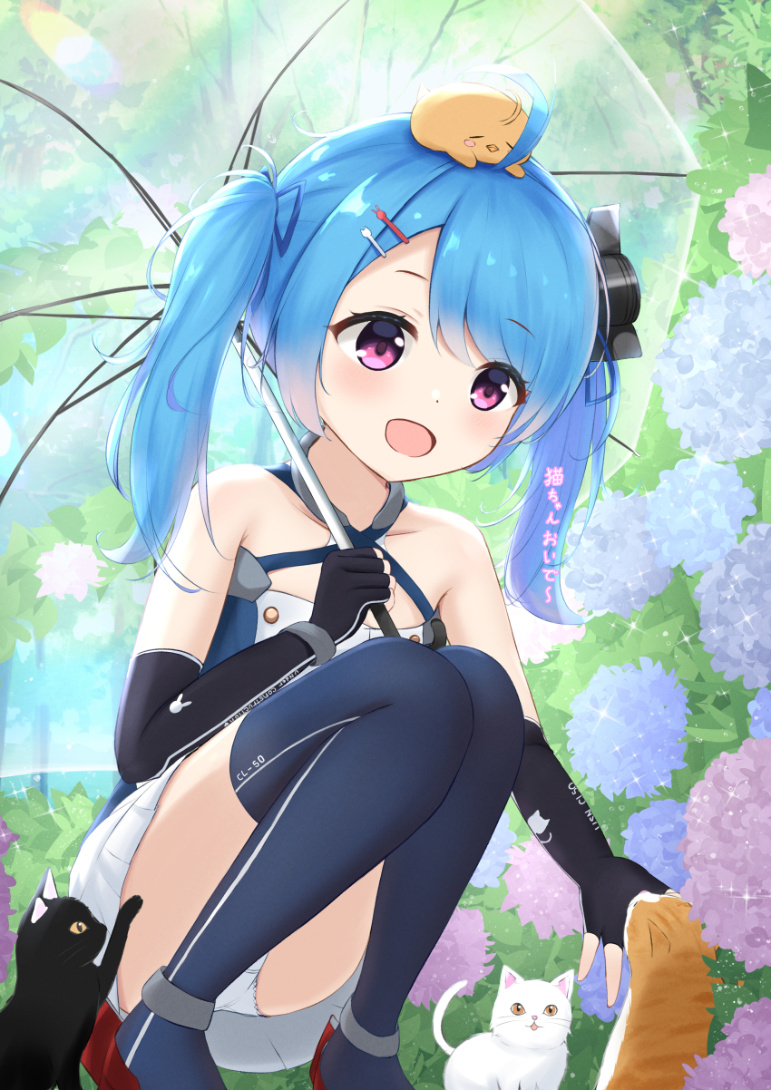 1girl :d absurdres animal_print azur_lane bare_shoulders black_gloves blue_hair blush boots buttons cat cat_hair_ornament cat_print day double-breasted dress elbow_gloves fingerless_gloves full_body gloves hair_ornament hair_over_one_eye hairclip hand_up happy headgear highres holding holding_umbrella knees_to_chest knees_together_feet_apart legs lena_(azur_lane) long_hair open_mouth outdoors paashe panties pantyshot patting purple_eyes rabbit_hair_ornament rabbit_print sleeveless sleeveless_dress smile solo squatting thigh_boots thighs translation_request twintails umbrella underwear upskirt white_panties