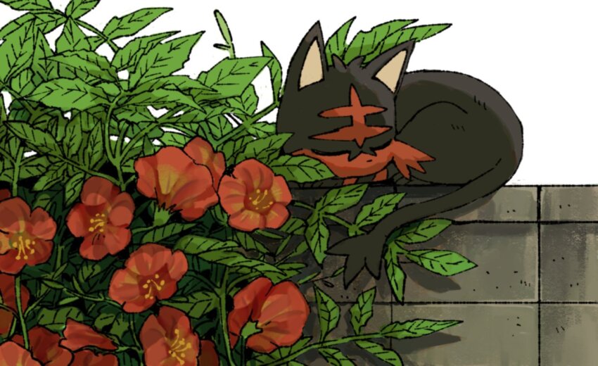 black_fur cat closed_eyes flower gen_7_pokemon leaf litten lying mashita._(mentaiko_omoti) nintendo on_wall outdoors plant pokemon pokemon_(creature) red_fur solo tail two-tone_fur white_background