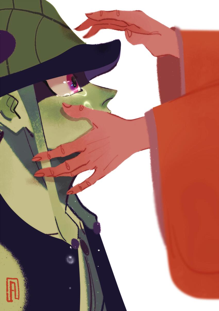 1boy 1girl arthropod_boy colored_skin french-unicorn green_skin highres hunter_x_hunter komugi_(hunter_x_hunter) long_earlobes long_sleeves meruem profile purple_eyes red_sleeves shadow simple_background solo_focus tears upper_body white_background wide_sleeves