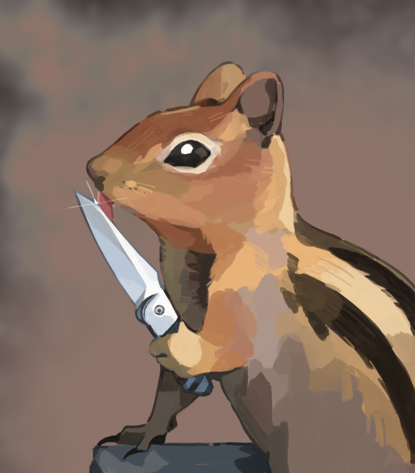 animal animal_focus commentary english_commentary gentlecat highres holding holding_knife knife licking licking_blade licking_weapon no_humans original photo-referenced realistic solo squirrel tongue tongue_out weapon