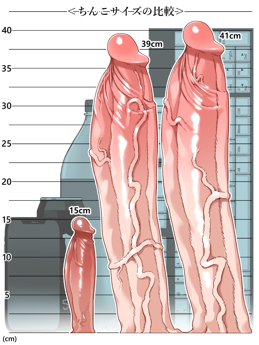 1boy 1futa absurdres erection extra_penises futanari gomu_(ujmu5458) highres huge_penis penis penis_comparison penis_size_difference size_chart translated uncensored
