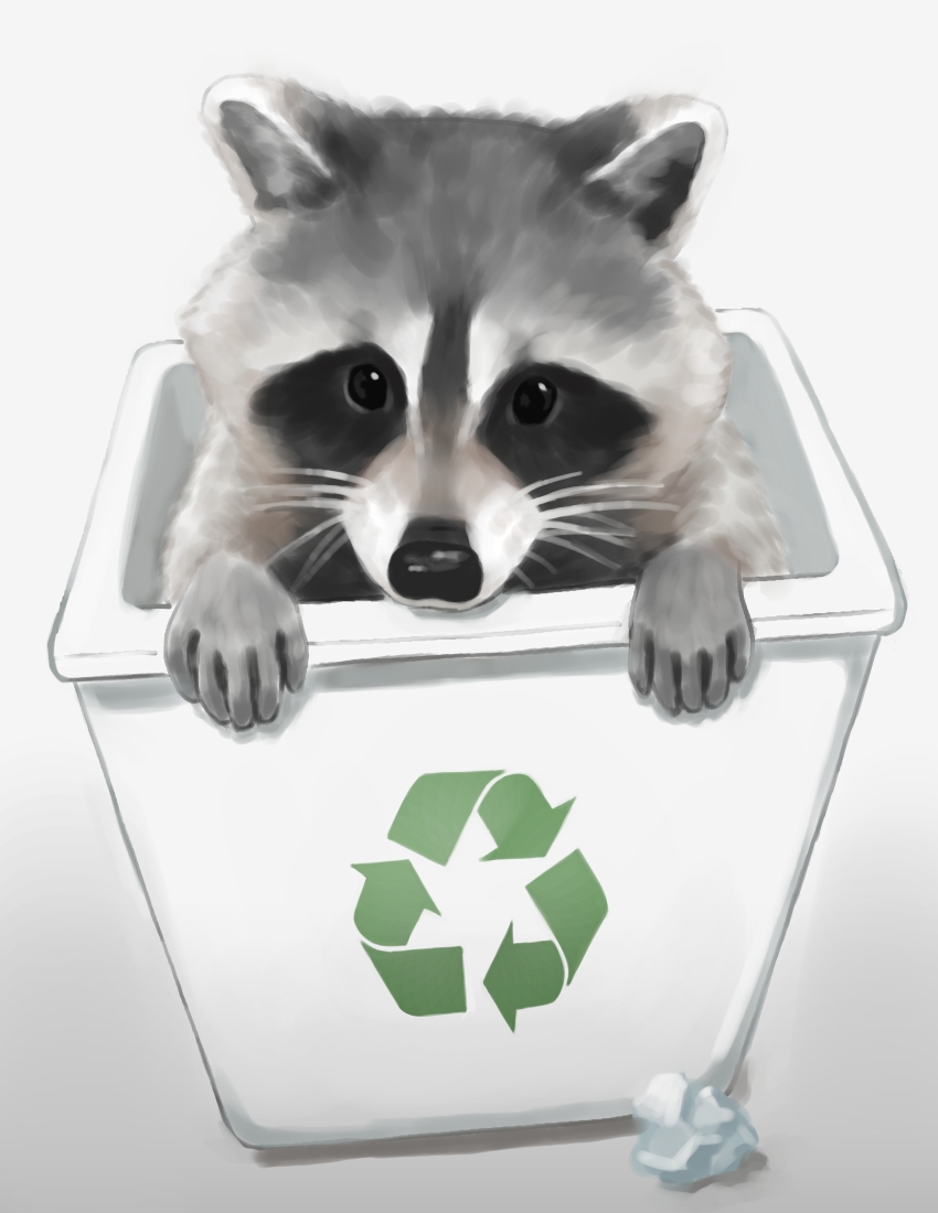 1other absurdres arrow_(symbol) highres in_container in_trash_can looking_at_viewer original raccoon recycle_bin recycling_symbol solo tagme trash_can trashpanda_11b