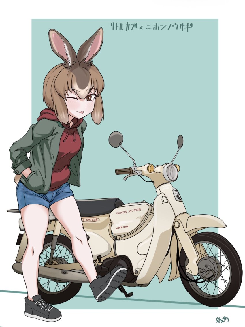 1girl :p aatsiol_uuk alternate_costume animal_ears black_shoes blue_shorts blush brown_eyes brown_hair casual full_body green_jacket hair_between_eyes hands_in_pockets highres hood hood_down jacket japanese_hare_(kemono_friends) kemono_friends long_sleeves looking_at_viewer motor_vehicle motorcycle multicolored_hair one_eye_closed open_clothes open_jacket rabbit_ears rabbit_girl rabbit_tail red_sweater shoes short_hair short_shorts shorts sidelocks solo sweater tail tongue tongue_out white_hair