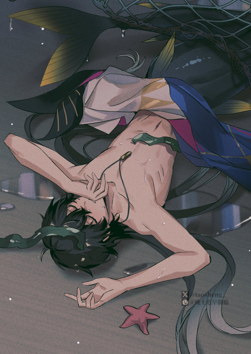1boy black_hair closed_eyes dan_heng_(honkai:_star_rail) dan_heng_(imbibitor_lunae)_(honkai:_star_rail) dragon_horns hair_between_eyes highres honkai:_star_rail honkai_(series) horns jewelry lying male_focus merman monster_boy muscular muscular_male necklace solo starfish taosheng topless_male