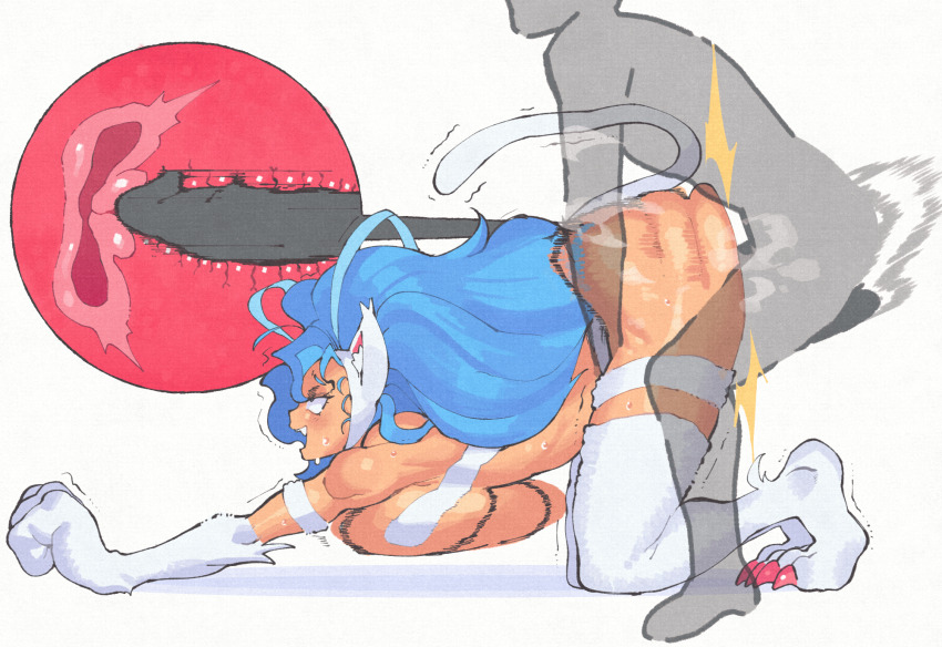 1boy 1girl animal_ears ass bad_source blue_eyes blue_hair blush breasts capcom cat_ears cat_girl cat_tail cervical_penetration cervix claws completely_nude darkstalkers deep_penetration doggystyle faceless faceless_male fang felicia_(darkstalkers) happy happy_sex hetero highres hot huge_ass inkerton-kun large_breasts long_hair nude penis pussy sex sex_from_behind simple_background smile steaming_body sweat tail thighs toned toned_female top-down_bottom-up trembling vaginal white_fur x-ray