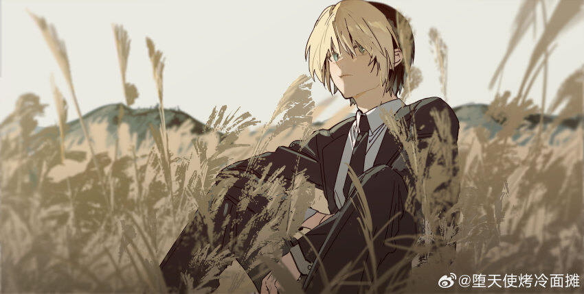 1boy absurdres black_hair black_shirt blonde_hair formal_clothes grass grasslands green_eyes highres hikaru_no_go mountain multicolored_hair necktie shindou_hikaru shirt sitting solo suit tagme tall_grass two-tone_hair watermark weibo_watermark zhibuji_loom