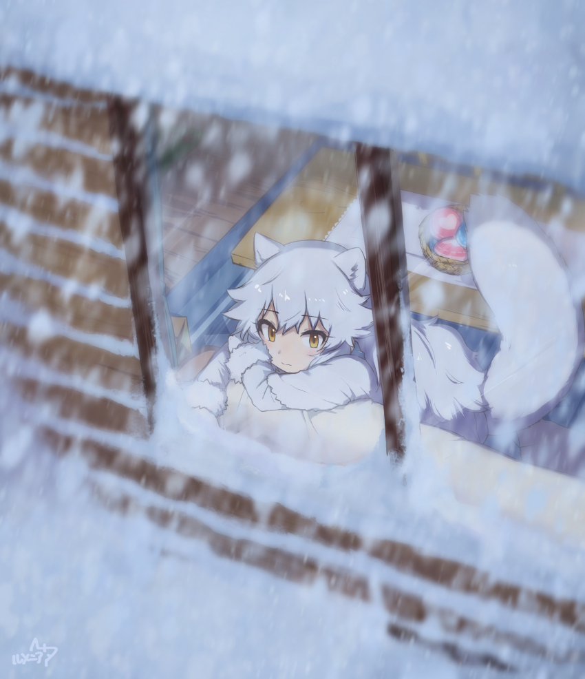 1girl animal_ears arctic_fox_(kemono_friends) coat food fox_ears fox_girl fox_tail gloves hair_between_eyes highres japari_bun kemono_friends long_hair long_sleeves looking_inside rumenia_(ao2is) sidelocks snow snowing solo tail white_coat white_gloves white_hair window yellow_eyes