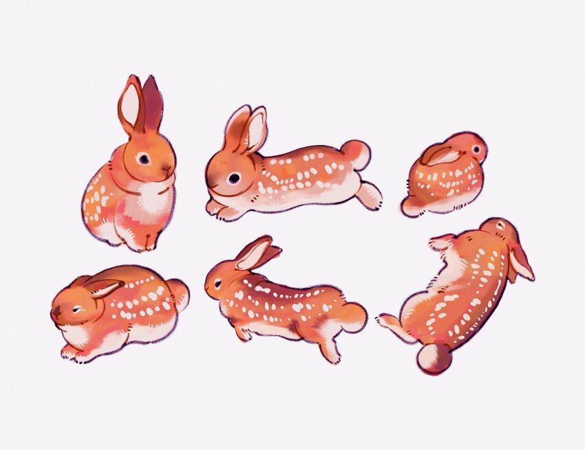 animal animal_ears animal_focus black_eyes brown_fur brown_rabbit creature creature_focus ears_back ears_perk ears_up fawn highres meyoco no_humans original rabbit rabbit_ears simple_background two-tone_fur white_background white_fur