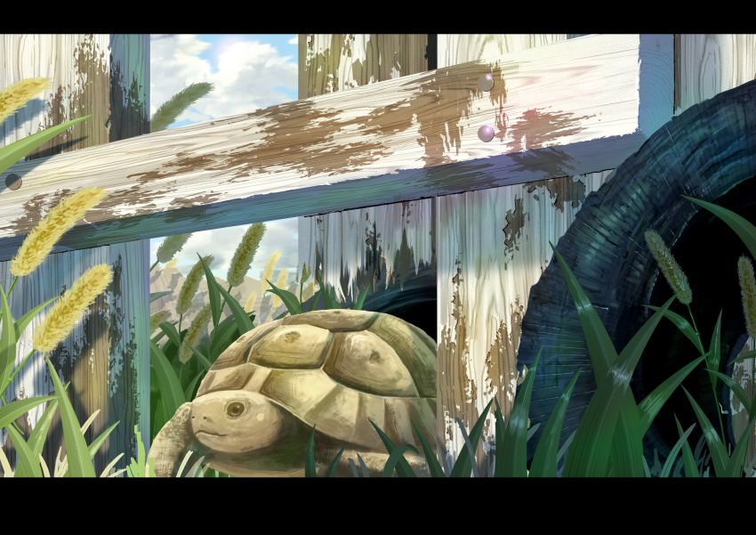 absurdres animal animal_focus day fence grass highres no_humans original outdoors sumassha_t_t tortoise turtle unused_tire wooden_fence