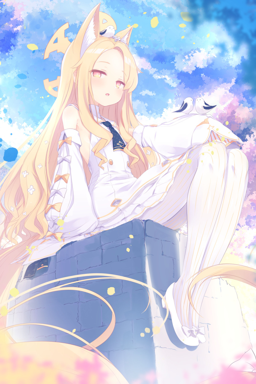 1girl animal_ears bird blonde_hair blue_archive blue_sky blush commentary_request detached_sleeves flat_chest fox_ears halo highres long_hair looking_at_viewer nimura_yuuji pantyhose seia_(blue_archive) sitting sky sleeves_past_fingers sleeves_past_wrists solo very_long_hair white_bird white_pantyhose yellow_eyes