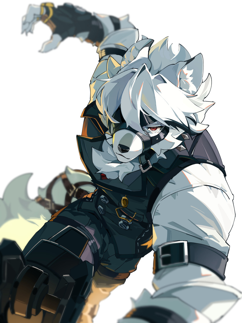 1boy absurdres animal_ear_fluff animal_ears animal_nose arm_belt arm_up black_vest blurry body_fur claws commentary_request depth_of_field facing_viewer furry furry_male gloves hair_over_one_eye highres incoming_attack looking_at_viewer mechanical_legs muzzle_(mask) neck_fur red_eyes roru_(roru39) running shirt simple_background snout solo tail transparent_background vest von_lycaon white_fur white_hair white_shirt white_tail wolf_boy wolf_ears wolf_tail zenless_zone_zero