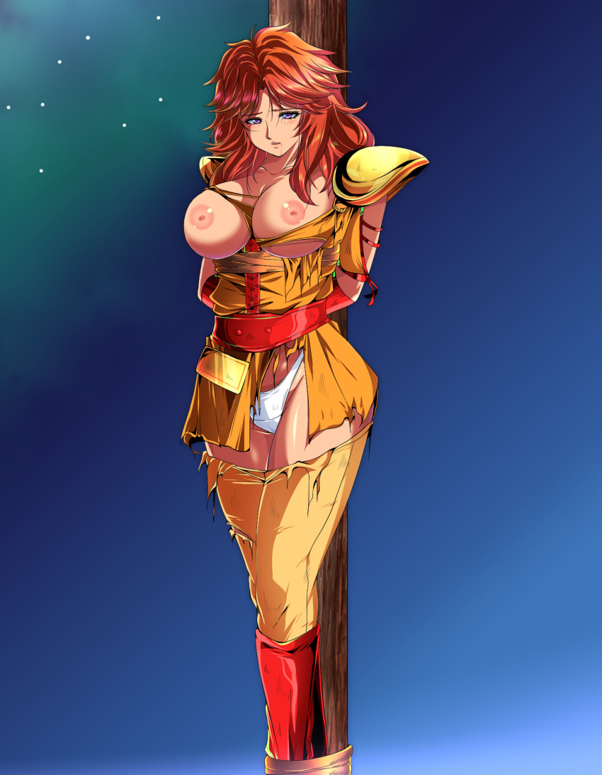 1girl breasts highres hokuto_no_ken large_breasts long_hair mamiya_(hokuto_no_ken) nipples solo torn_clothes