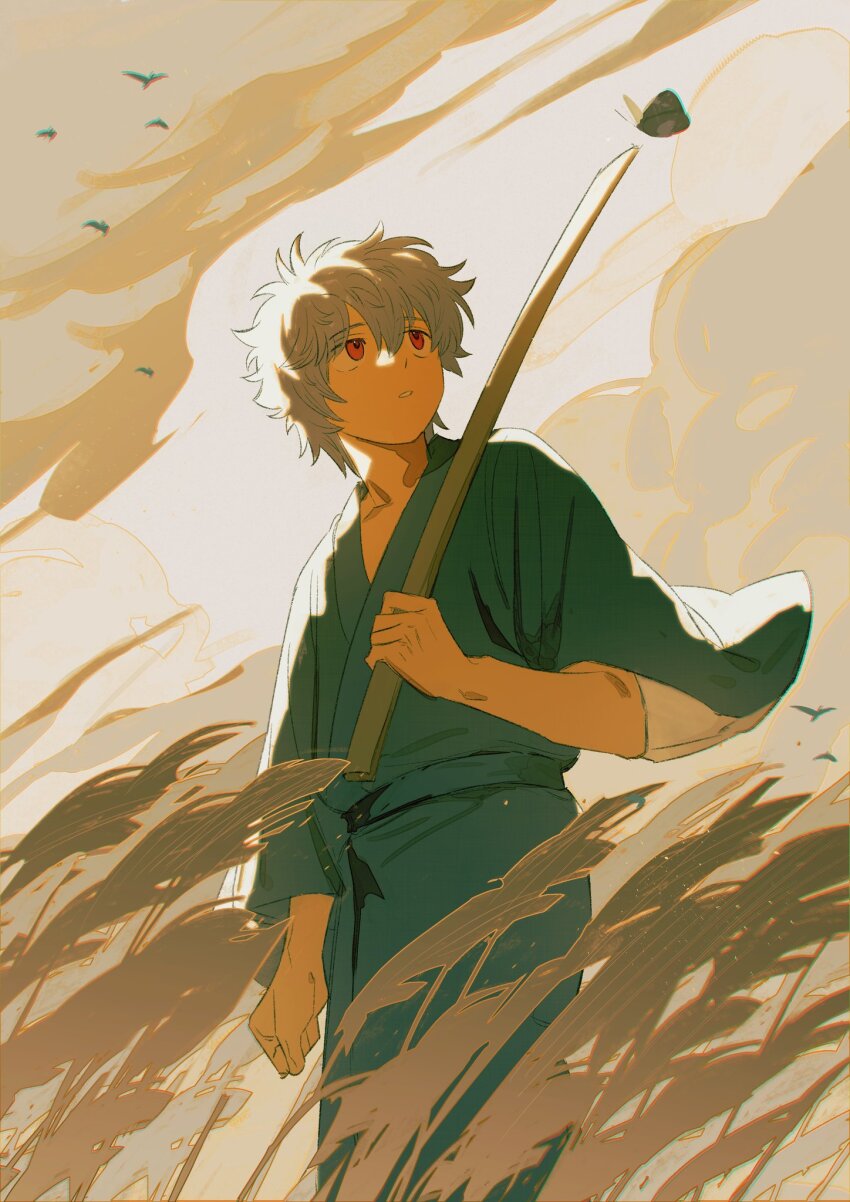 1boy aged_down bird bokken bug butterfly child chromatic_aberration clenched_hand cloud cloudy_sky curly_hair field gintama highres holding holding_sword holding_weapon insect japanese_clothes kimono kusuri looking_up male_focus open_mouth outdoors red_eyes sakata_gintoki sky solo sword v_formation weapon wooden_sword