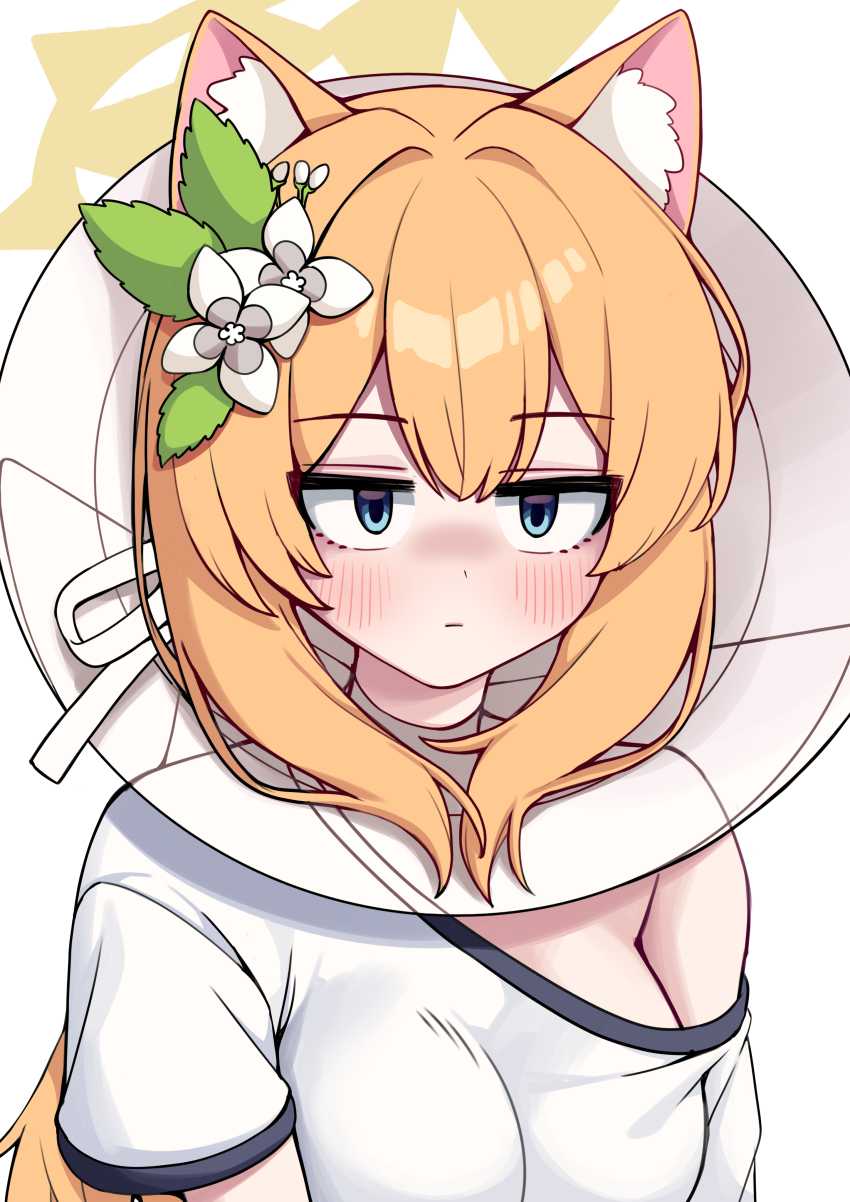 1girl :| absurdres animal_ear_fluff animal_ears blue_archive blue_eyes blush breasts cat_ears close-up closed_mouth commentary double-parted_bangs expressionless flower gym_uniform hair_between_eyes hair_flower hair_ornament halo highres jitome korean_commentary leaf_hair_ornament long_hair looking_at_viewer mari_(blue_archive) mari_(track)_(blue_archive) medium_breasts metaljelly neck_collar official_alternate_costume orange_hair pet_cone ribbon sanpaku shirt short_sleeves sidelocks simple_background single_bare_shoulder solo tsurime upper_body white_background white_flower white_ribbon white_shirt yellow_halo