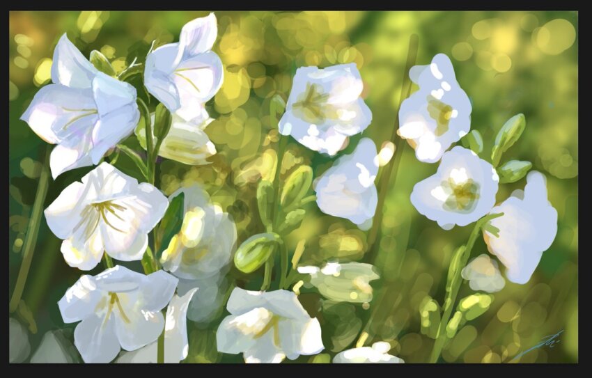 flower no_humans original outdoors plant plant_focus scenery signature white_flower yuki112071