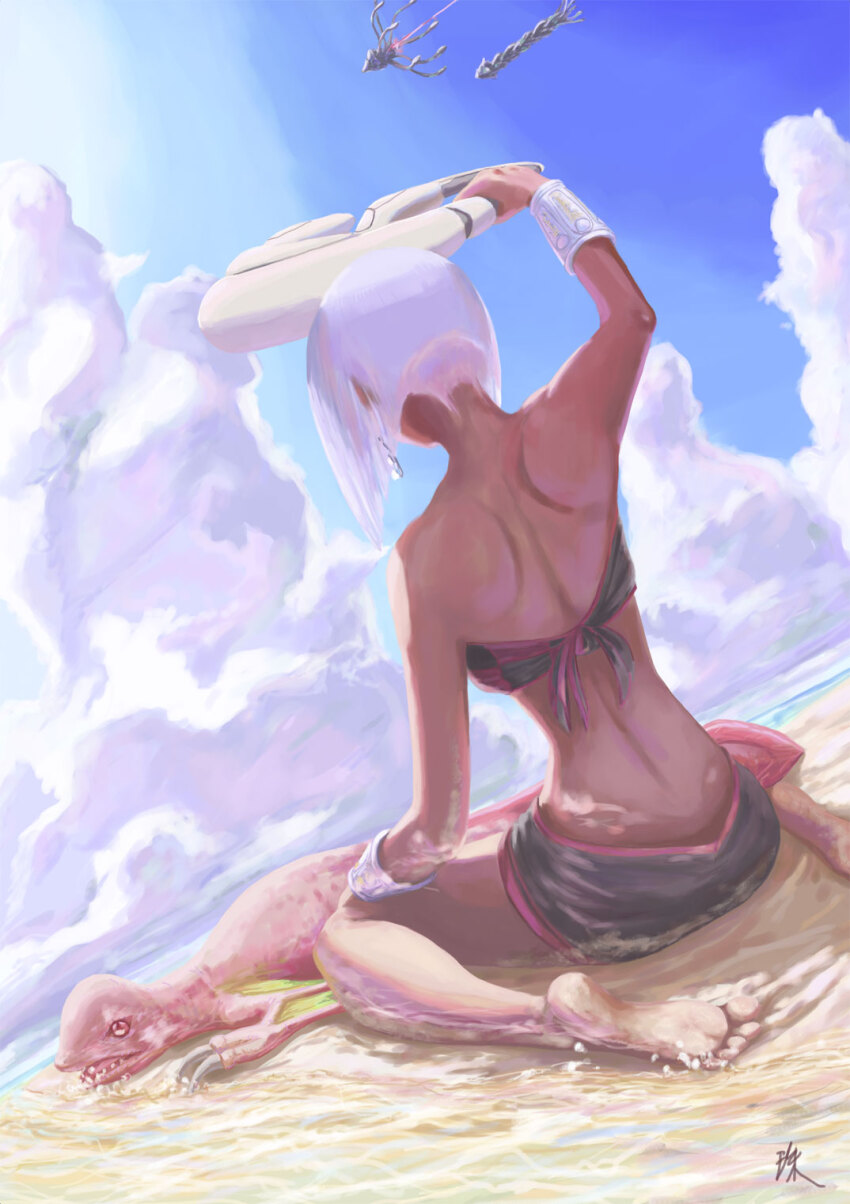 1girl back beach feet highres maelia_juvi orta panzer_dragoon panzer_dragoon_orta sega white_hair