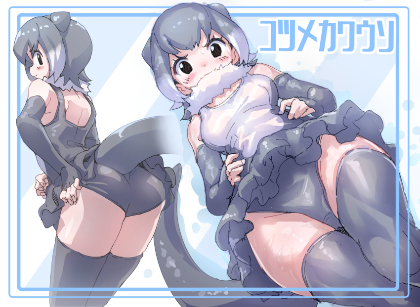1girl :3 animal_ears bare_shoulders blush brown_eyes elbow_gloves extra_ears fingerless_gloves frilled_one-piece_swimsuit frills from_behind from_below fur_collar gloves gradient_hair grey_gloves grey_hair grey_one-piece_swimsuit grey_thighhighs hair_between_eyes kemono_friends looking_at_viewer looking_back looking_down lowlandgorilla multicolored_hair multiple_views one-piece_swimsuit otter_ears otter_girl otter_tail short_hair sidelocks sleeveless small-clawed_otter_(kemono_friends) smile swimsuit tail thighhighs translation_request two-tone_one-piece_swimsuit white_fur white_hair white_one-piece_swimsuit