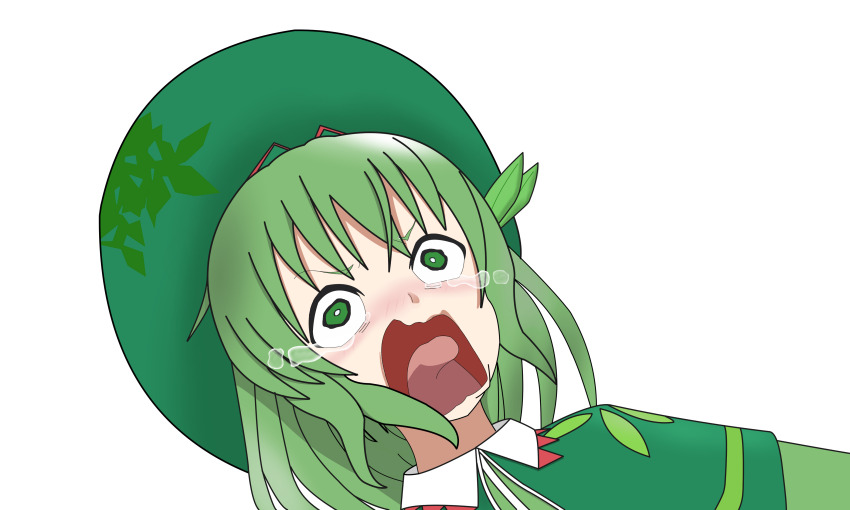 1girl absurdres aqua_(konosuba) capelet crying crying_aqua_(meme) crying_with_eyes_open dress green_capelet green_dress green_eyes green_hair green_hat hat highres kono_subarashii_sekai_ni_shukufuku_wo! leaf meme seoi_ha simple_background solo tears touhou touhou_shizenyu wmeteo